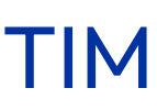 TIM logo